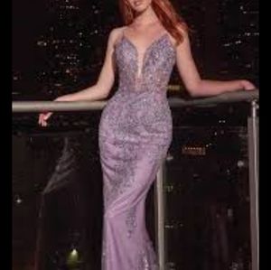 Cinderella divine dress nwt